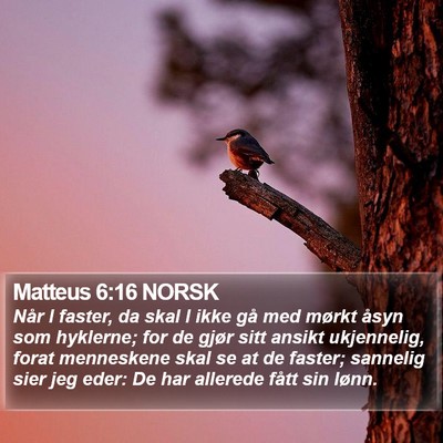 Matteus 6:16 NORSK Bible Verse Image
