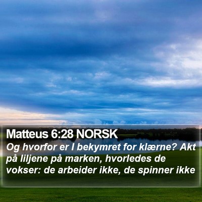 Matteus 6:28 NORSK Bible Verse Image
