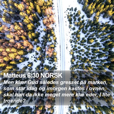 Matteus 6:30 NORSK Bible Verse Image