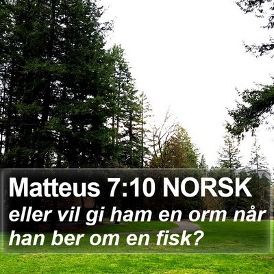 Matteus 7:10 NORSK Bible Verse Image