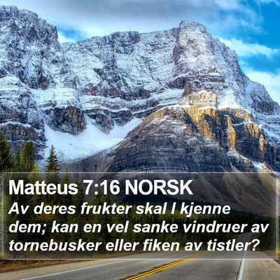 Matteus 7:16 NORSK Bible Verse Image
