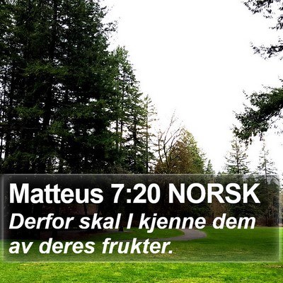 Matteus 7:20 NORSK Bible Verse Image
