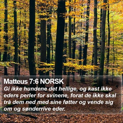 Matteus 7:6 NORSK Bible Verse Image