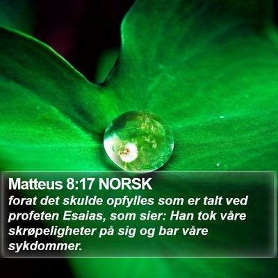 Matteus 8:17 NORSK Bible Verse Image