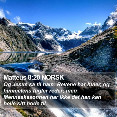 Matteus 8:20 NORSK Bible Verse Image