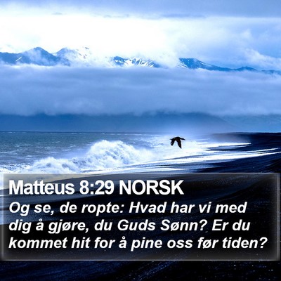 Matteus 8:29 NORSK Bible Verse Image