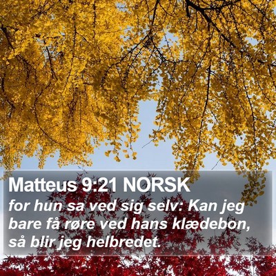 Matteus 9:21 NORSK Bible Verse Image