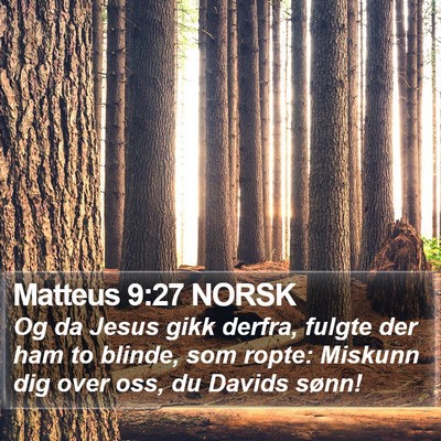Matteus 9:27 NORSK Bible Verse Image