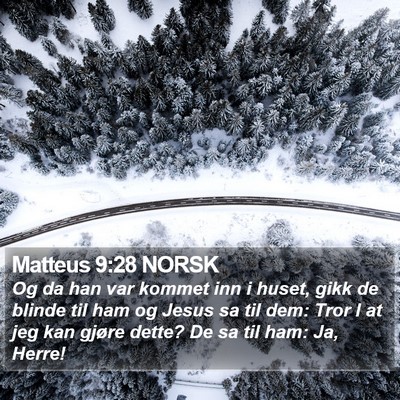 Matteus 9:28 NORSK Bible Verse Image