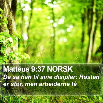 Matteus 9:37 NORSK Bible Verse Image