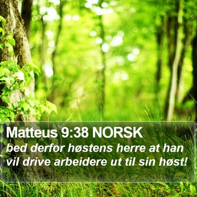 Matteus 9:38 NORSK Bible Verse Image