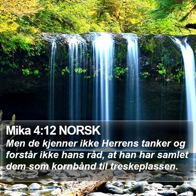 Mika 4:12 NORSK Bible Verse Image