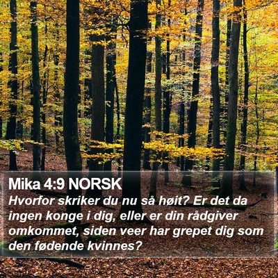 Mika 4:9 NORSK Bible Verse Image