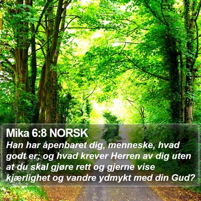Mika 6:8 NORSK Bible Verse Image