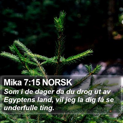 Mika 7:15 NORSK Bible Verse Image
