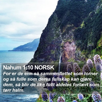 Nahum 1:10 NORSK Bible Verse Image