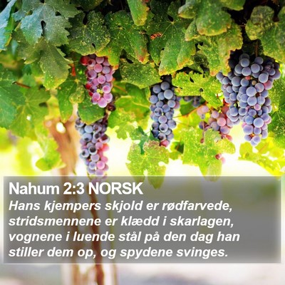 Nahum 2:3 NORSK Bible Verse Image