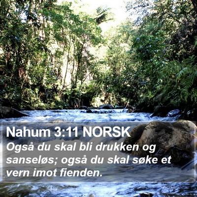 Nahum 3:11 NORSK Bible Verse Image