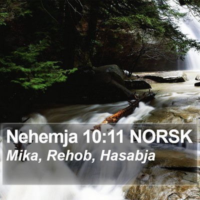 Nehemja 10:11 NORSK Bible Verse Image