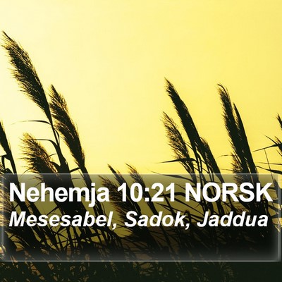 Nehemja 10:21 NORSK Bible Verse Image