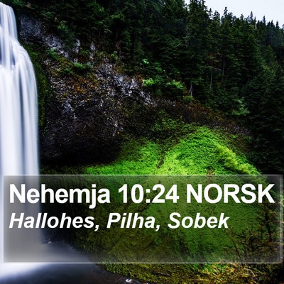 Nehemja 10:24 NORSK Bible Verse Image