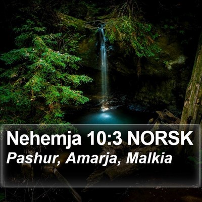 Nehemja 10:3 NORSK Bible Verse Image