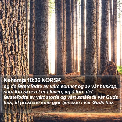Nehemja 10:36 NORSK Bible Verse Image
