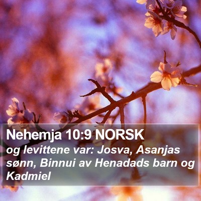Nehemja 10:9 NORSK Bible Verse Image