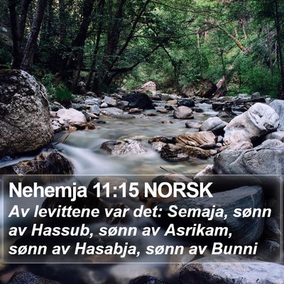 Nehemja 11:15 NORSK Bible Verse Image