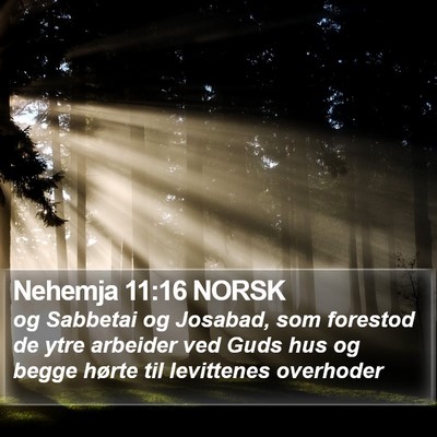 Nehemja 11:16 NORSK Bible Verse Image