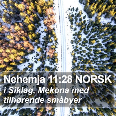 Nehemja 11:28 NORSK Bible Verse Image