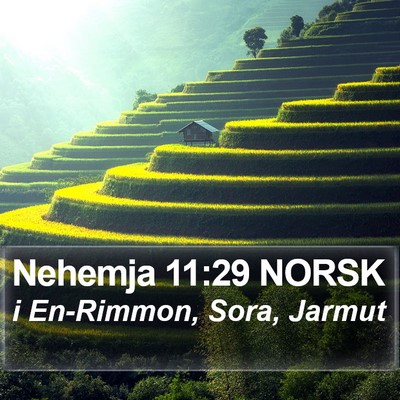 Nehemja 11:29 NORSK Bible Verse Image