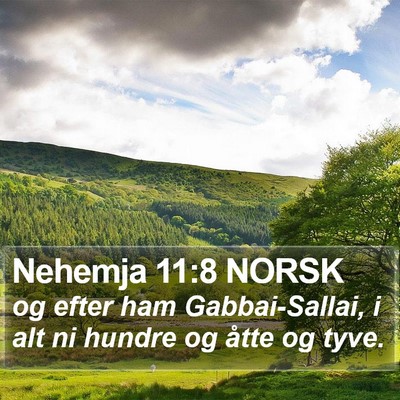 Nehemja 11:8 NORSK Bible Verse Image