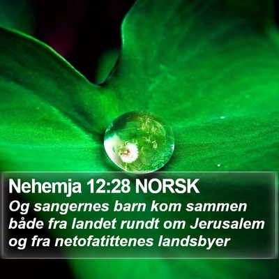 Nehemja 12:28 NORSK Bible Verse Image
