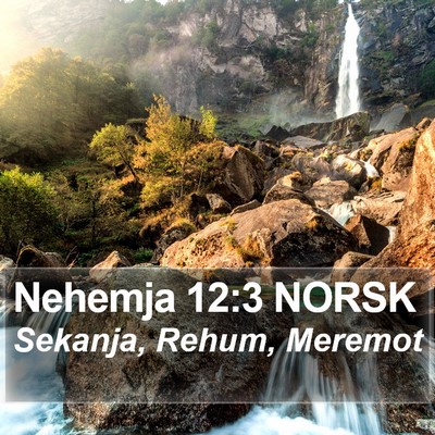 Nehemja 12:3 NORSK Bible Verse Image