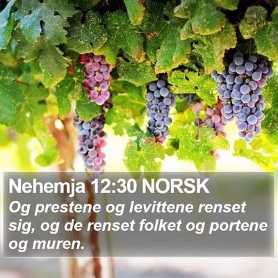 Nehemja 12:30 NORSK Bible Verse Image