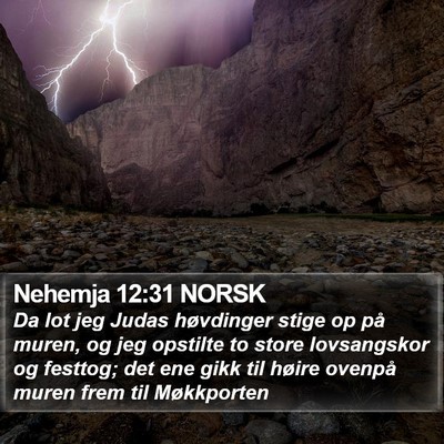 Nehemja 12:31 NORSK Bible Verse Image