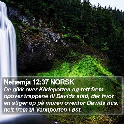 Nehemja 12:37 NORSK Bible Verse Image