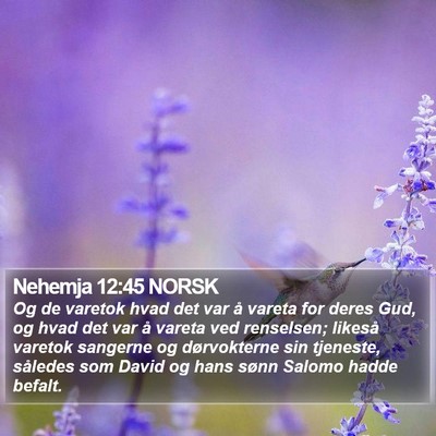 Nehemja 12:45 NORSK Bible Verse Image
