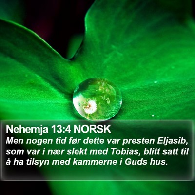 Nehemja 13:4 NORSK Bible Verse Image