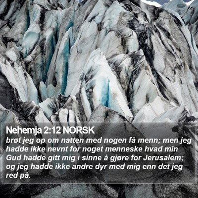 Nehemja 2:12 NORSK Bible Verse Image