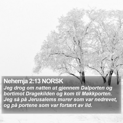 Nehemja 2:13 NORSK Bible Verse Image