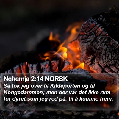 Nehemja 2:14 NORSK Bible Verse Image