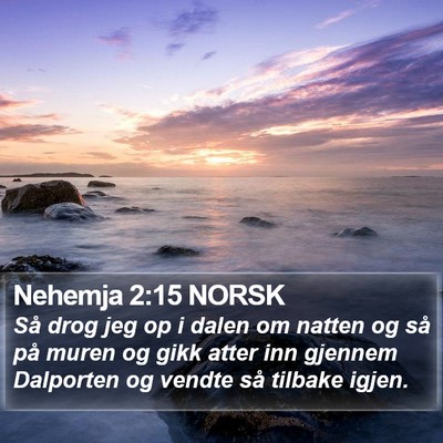 Nehemja 2:15 NORSK Bible Verse Image