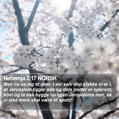 Nehemja 2:17 NORSK Bible Verse Image