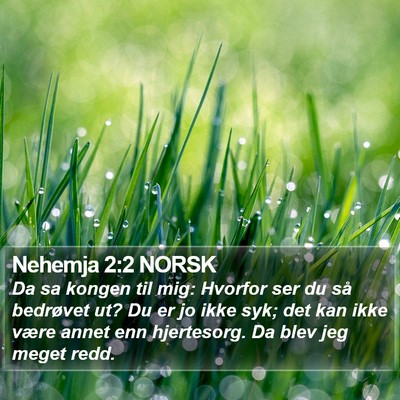 Nehemja 2:2 NORSK Bible Verse Image
