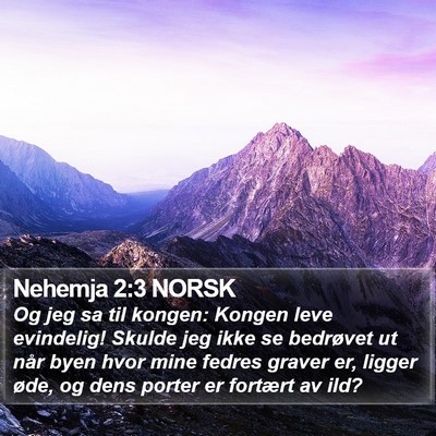 Nehemja 2:3 NORSK Bible Verse Image