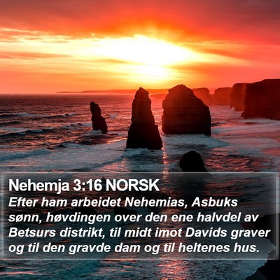 Nehemja 3:16 NORSK Bible Verse Image