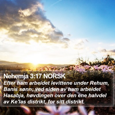 Nehemja 3:17 NORSK Bible Verse Image