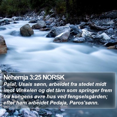 Nehemja 3:25 NORSK Bible Verse Image